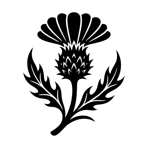Tistelblomma